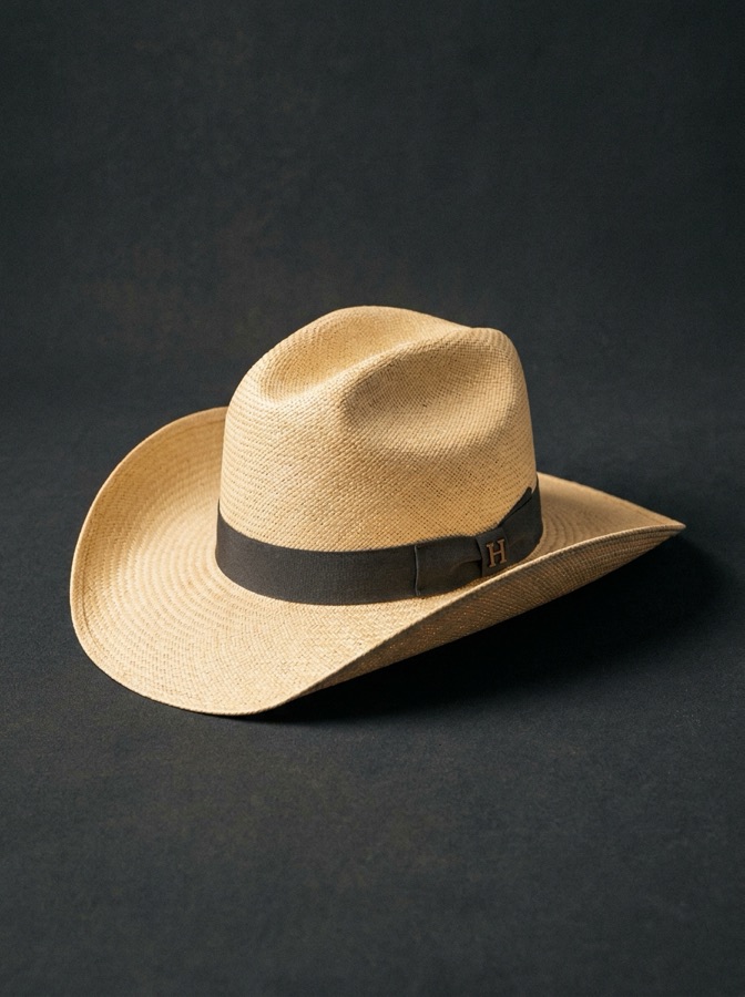 Sombrero de Palma Senador — render de concepto