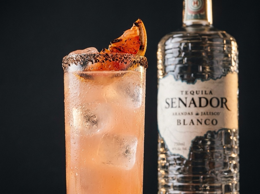 Paloma del Senado